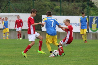 九游娱乐入口-“福乐球决战开启，新都香城体育中心见证精彩”  第2张